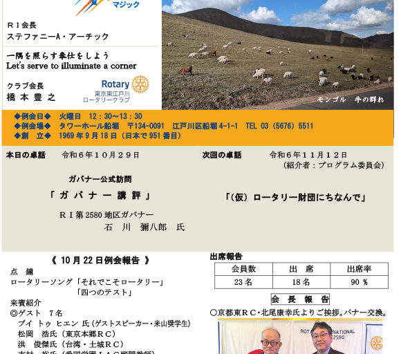 2024年10月29日　週報